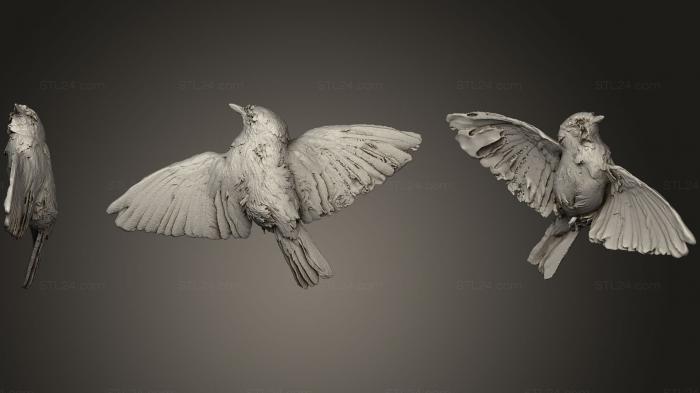 Статуэтки птицы (Птица, STKB_0194) 3D модель для ЧПУ станка